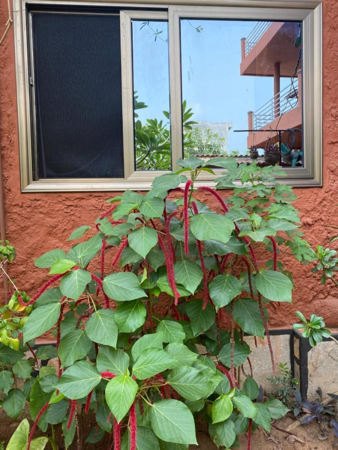 Residences Ouadada Porto-Novo Dış mekan fotoğraf